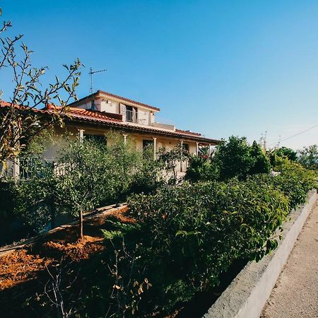 Villa Oneirama Nafplio Ngoại thất bức ảnh